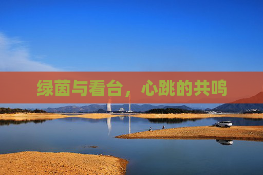 绿茵与看台,心跳的共鸣