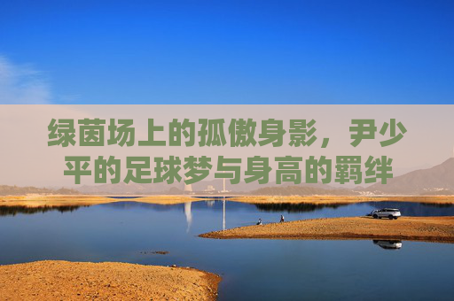 绿茵场上的孤傲身影,尹少平的足球梦与身高的羁绊