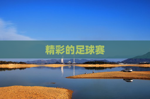 精彩的足球赛