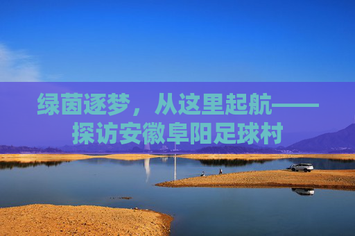 绿茵逐梦,从这里起航——探访安徽阜阳足球村