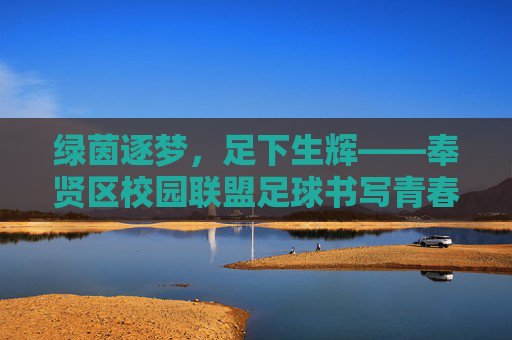 绿茵逐梦,足下生辉——奉贤区校园联盟足球书写青春华章