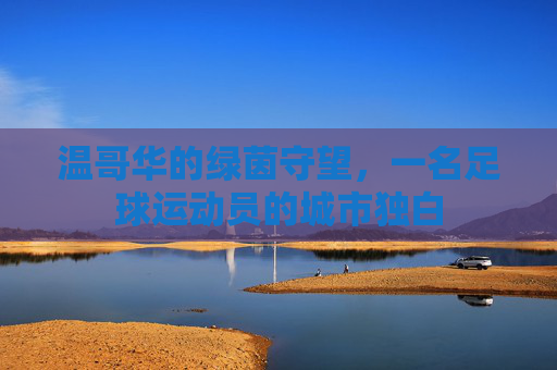 温哥华的绿茵守望,一名足球运动员的城市独白