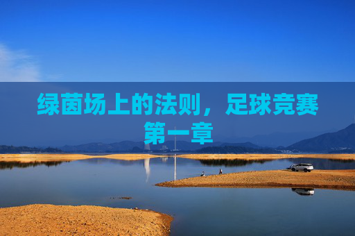 绿茵场上的法则,足球竞赛第一章