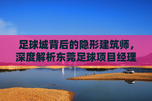 足球城背后的隐形建筑师,深度解析东莞足球项目经理的角色与价值