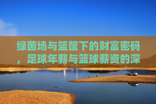 绿茵场与篮筐下的财富密码,足球年薪与篮球薪资的深度对比