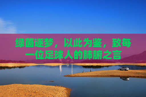 绿茵逐梦,以此为鉴,致每一位足球人的肺腑之言