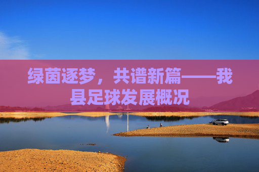 绿茵逐梦,共谱新篇——我县足球发展概况
