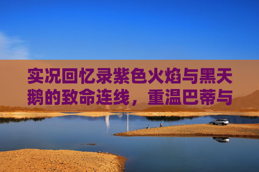 实况回忆录紫色火焰与黑天鹅的致命连线,重温巴蒂与约克的经典组合