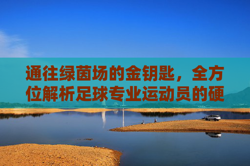 通往绿茵场的金钥匙，全方位解析足球专业运动员的硬核要求