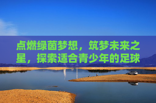 点燃绿茵梦想,筑梦未来之星,探索适合青少年的足球联赛