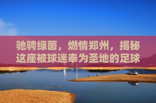 驰骋绿茵,燃情郑州,揭秘这座被球迷奉为圣地的足球公园