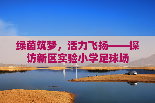 绿茵筑梦,活力飞扬——探访新区实验小学足球场