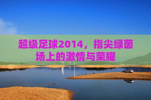 超级足球2014,指尖绿茵场上的激情与荣耀