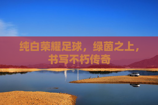 纯白荣耀足球,绿茵之上,书写不朽传奇