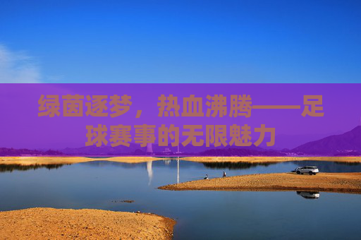 绿茵逐梦，热血沸腾——足球赛事的无限魅力