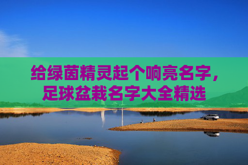 给绿茵精灵起个响亮名字，足球盆栽名字大全精选