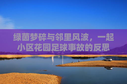 绿茵梦碎与邻里风波,一起小区花园足球事故的反思