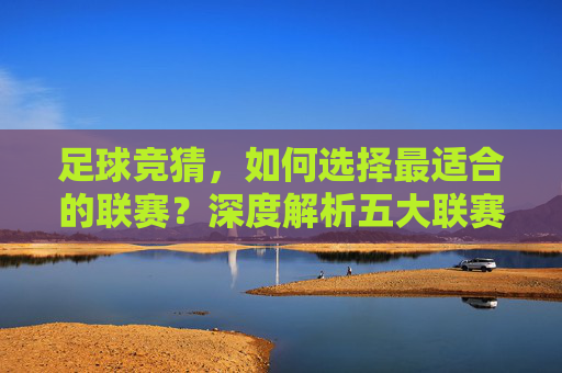 足球竞猜,如何选择最适合的联赛?深度解析五大联赛与潜力赛事