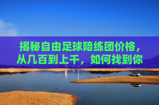 揭秘自由足球陪练团价格,从几百到上千,如何找到你的性价比之王?