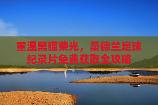 重温黑猫荣光,桑德兰足球纪录片免费获取全攻略