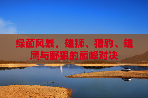 绿茵风暴,雄狮、猎豹、雄鹰与野狼的巅峰对决