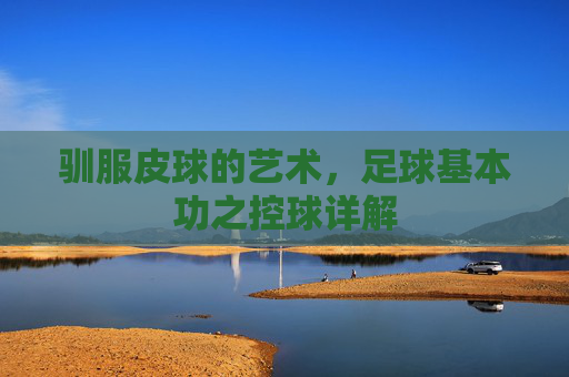 驯服皮球的艺术,足球基本功之控球详解