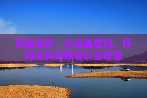 绿茵逐梦,从这里启航,呼和浩特足球培训全攻略