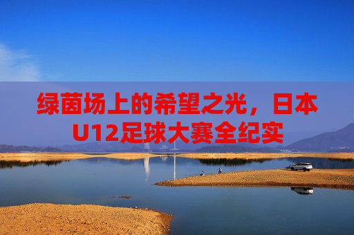 绿茵场上的希望之光,日本U12足球大赛全纪实