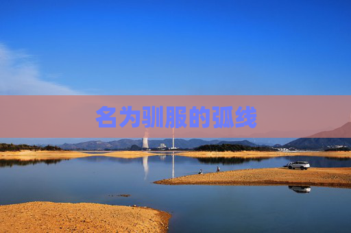 名为驯服的弧线