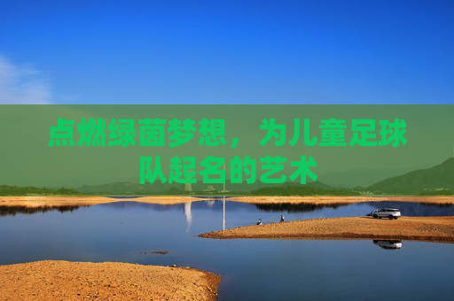 点燃绿茵梦想,为儿童足球队起名的艺术