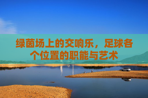 绿茵场上的交响乐,足球各个位置的职能与艺术