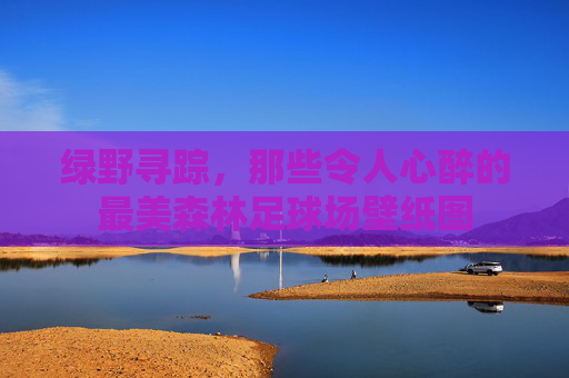 绿野寻踪,那些令人心醉的最美森林足球场壁纸图