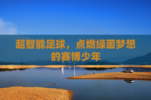 超智能足球,点燃绿茵梦想的赛博少年
