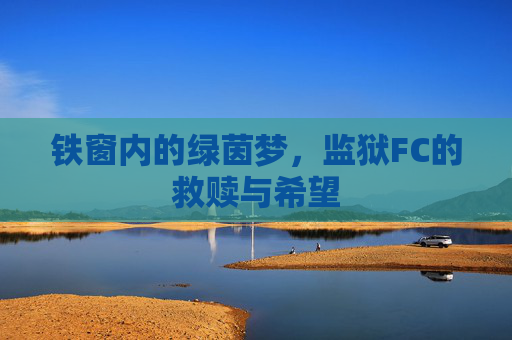铁窗内的绿茵梦,监狱FC的救赎与希望