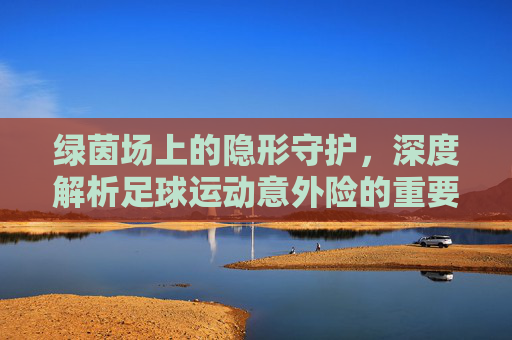 绿茵场上的隐形守护,深度解析足球运动意外险的重要性与保障内容