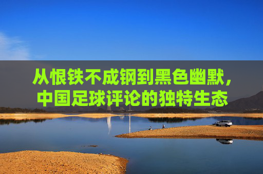 从恨铁不成钢到黑色幽默，中国足球评论的独特生态