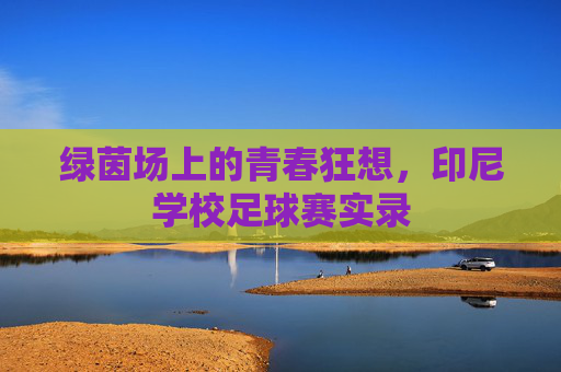 绿茵场上的青春狂想,印尼学校足球赛实录