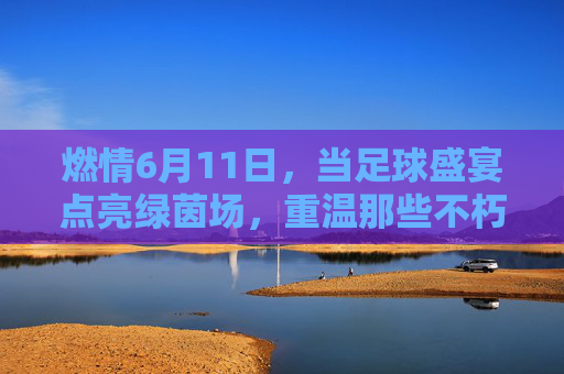 燃情6月11日,当足球盛宴点亮绿茵场,重温那些不朽的传奇时刻