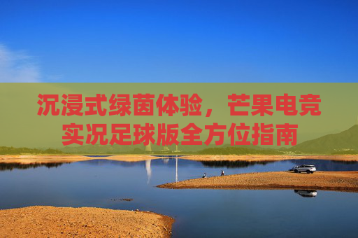 沉浸式绿茵体验,芒果电竞实况足球版全方位指南