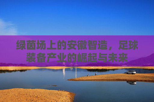 绿茵场上的安徽智造,足球装备产业的崛起与未来