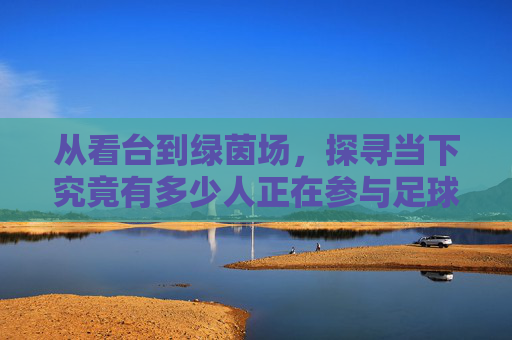 从看台到绿茵场,探寻当下究竟有多少人正在参与足球运动