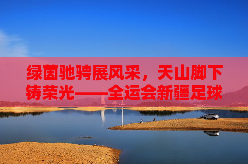 绿茵驰骋展风采,天山脚下铸荣光——全运会新疆足球比赛侧记
