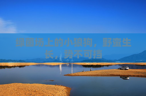 绿茵场上的小狼狗，野蛮生长，势不可挡