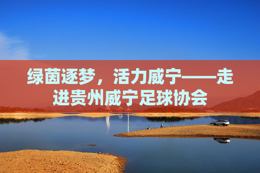 绿茵逐梦,活力威宁——走进贵州威宁足球协会