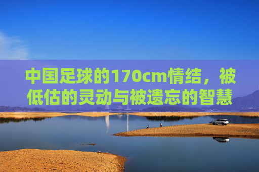 中国足球的170cm情结，被低估的灵动与被遗忘的智慧