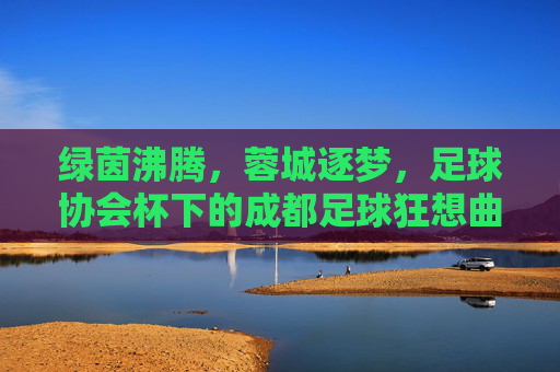 绿茵沸腾，蓉城逐梦，足球协会杯下的成都足球狂想曲