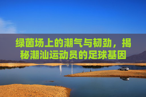 绿茵场上的潮气与韧劲,揭秘潮汕运动员的足球基因