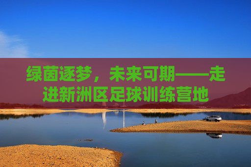 绿茵逐梦,未来可期——走进新洲区足球训练营地
