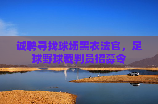 诚聘寻找球场黑衣法官，足球野球裁判员招募令