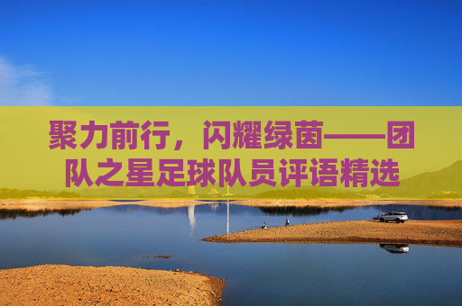 聚力前行，闪耀绿茵——团队之星足球队员评语精选